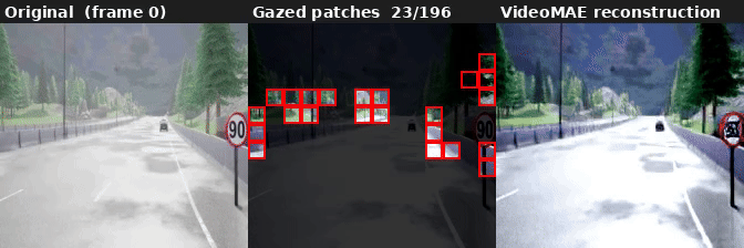 AutoGaze visualization: original, gazed patches, and VideoMAE reconstruction on Bench2Drive data