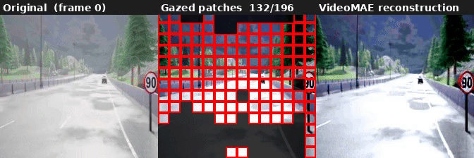 AutoGaze high coverage (task_loss=0.3): 52.8% patches selected
