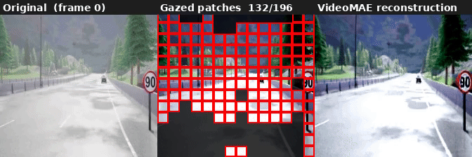 AutoGaze medium coverage (task_loss=0.5): 40.9% patches selected