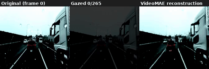 AutoGaze dashcam, gazing_ratio=0.10: 0.4% patches