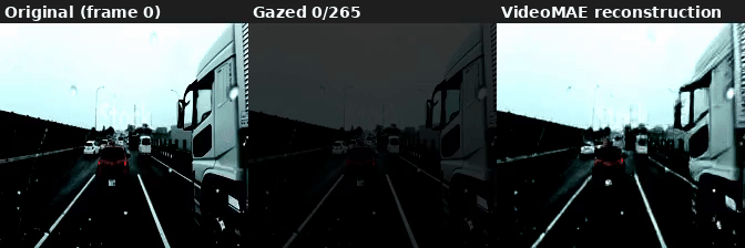 AV Blog 7: Efficient Video Encoding with AutoGaze