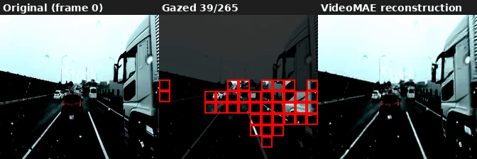 AutoGaze dashcam, gazing_ratio=0.40: 22.7% patches