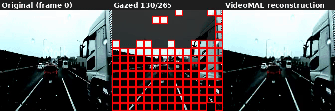 AutoGaze dashcam, gazing_ratio=0.75: 54.4% patches
