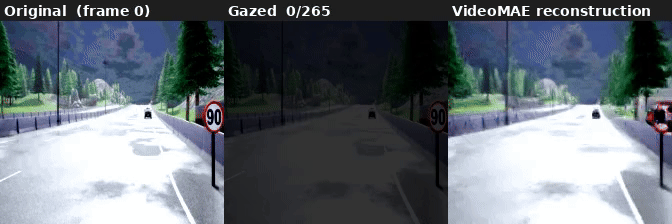 gazing_ratio=0.10: 0.1% patches selected