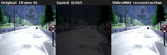 gazing_ratio=0.20: 0.8% patches selected