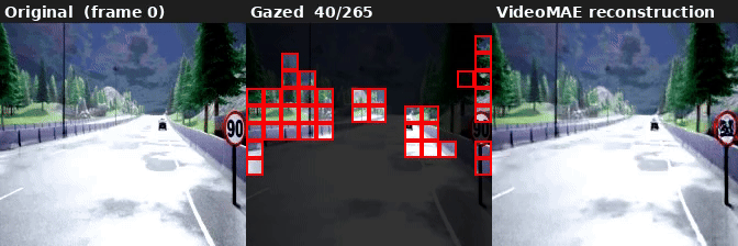 gazing_ratio=0.40: 17.6% patches selected